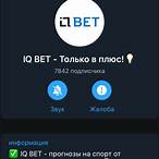 iq bet отзывы